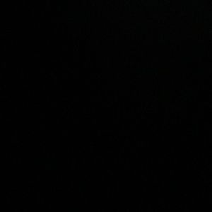 Meet your Posher, Lily